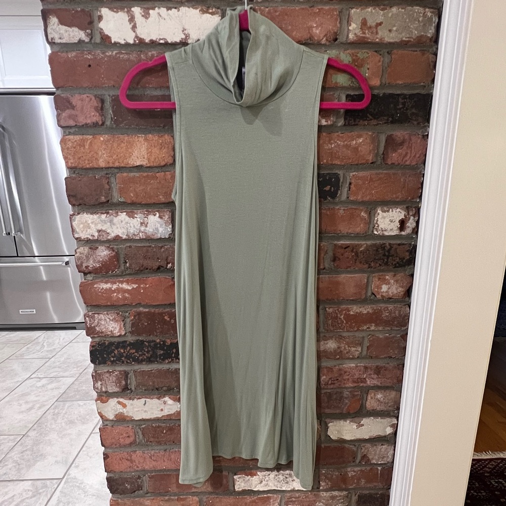 Francesca’s Sage Green Turtle Neck Shift Dress